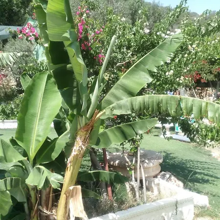 Gizli Vadi Camping&Pension * Kaş