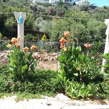 Habitación en casa particular Gizli Vadi Camping&Pension Kaş